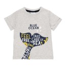 Παιδικό t-shirt γκρι για αγόρια (2-6 ετών)