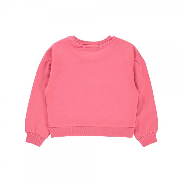 Παιδική μακρυμάνικη κροπ τοπ μπλούζα ροζ για κορίτσια (10-14 ετών)