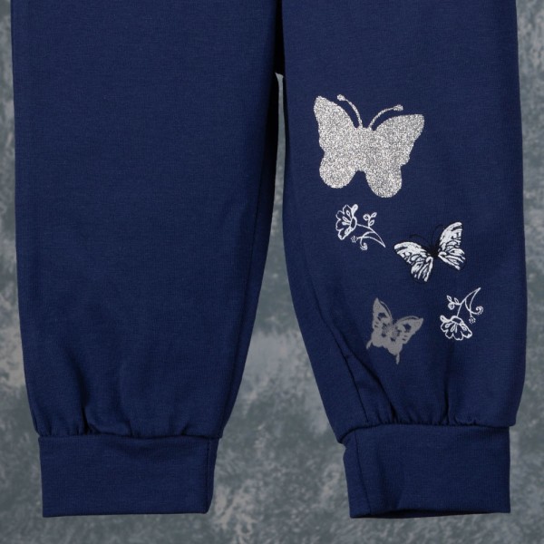 Βρεφικό σετ φόρμας butterfly γκρι-μπλε για κορίτσια (9-24 μηνών)