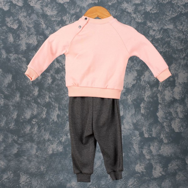 Βρεφικό σετ με μπλούζα και παντελόνι με γατούλες ροζ-γκρι (6-24 μηνών)